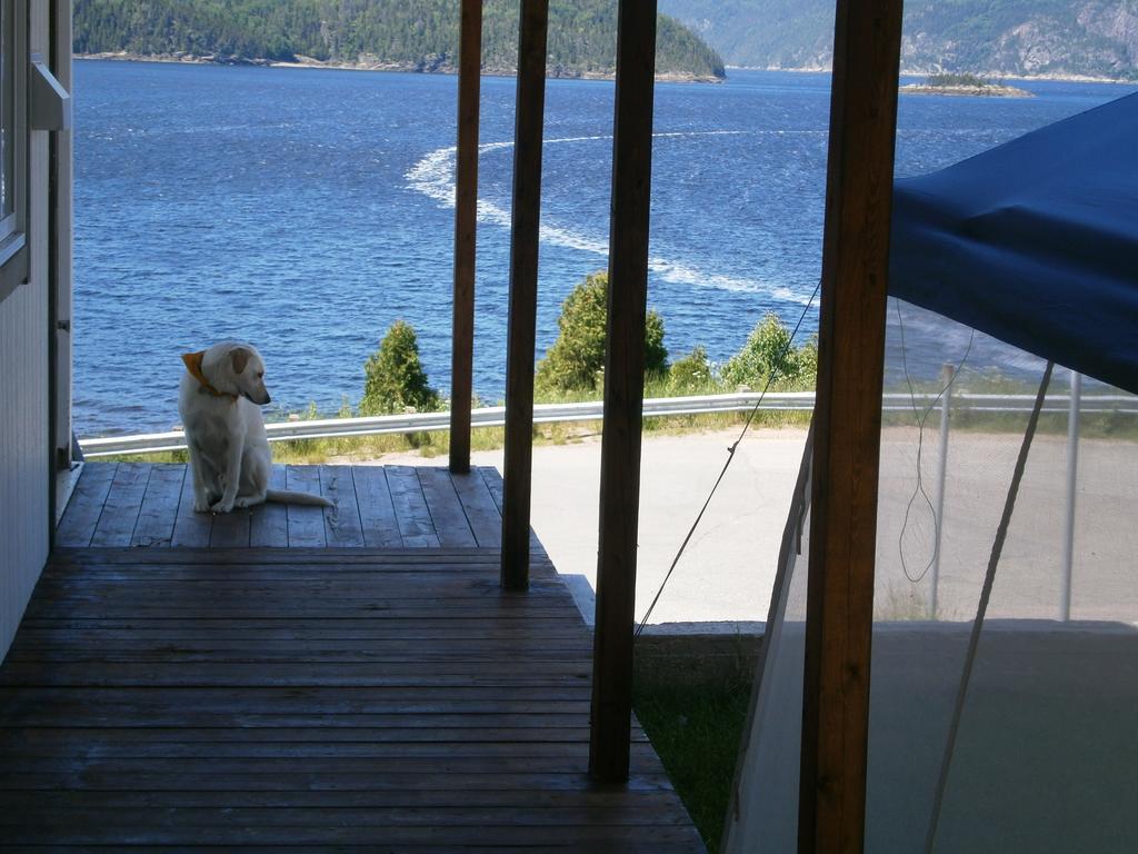 Apartement Mirador Du Fjord LʼAnse-Saint-Jean Eksteriør bilde